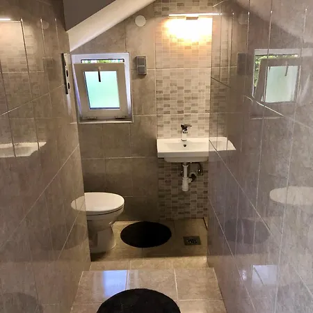 Janos * 巴拉顿菲赖德